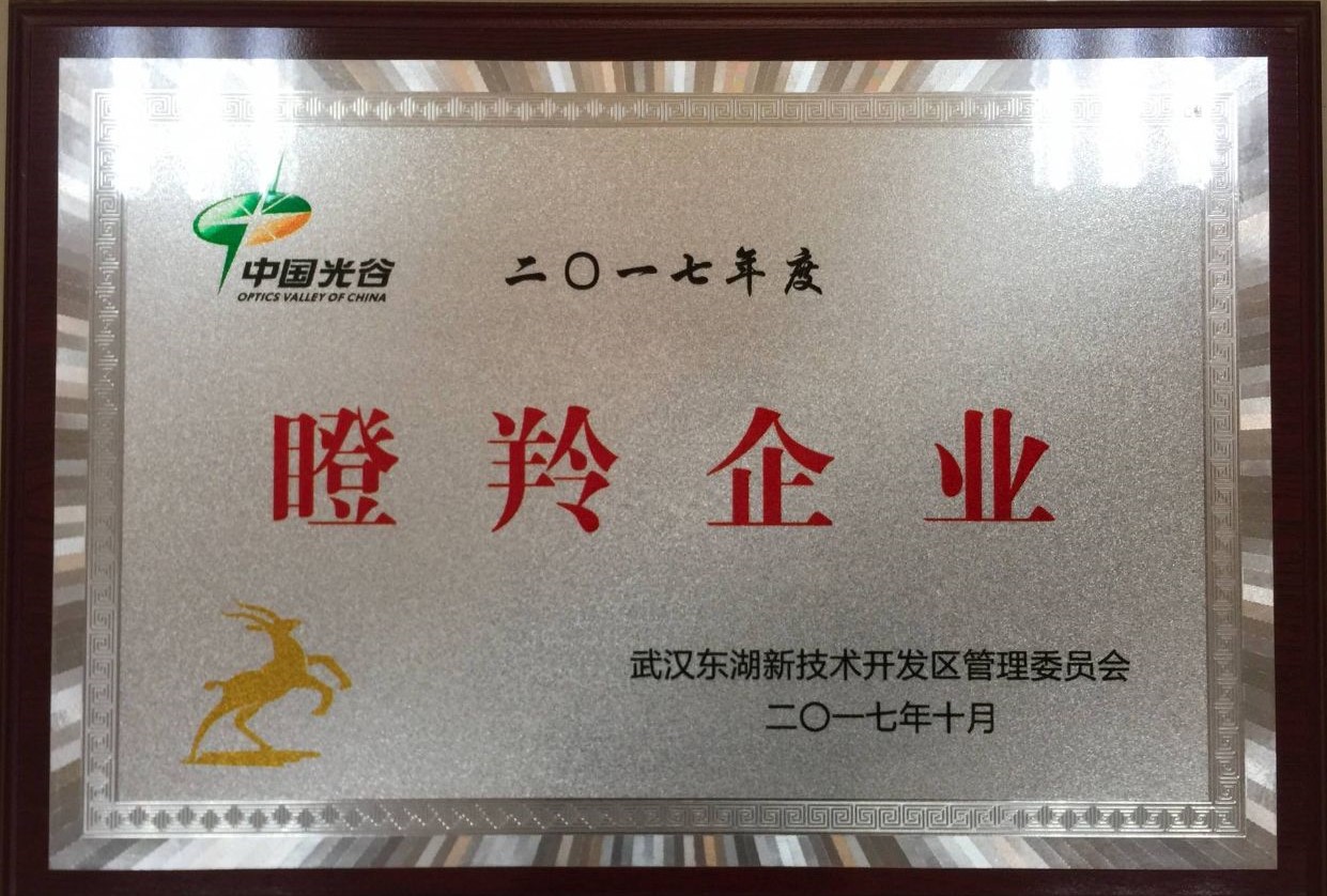 公司榮譽
